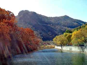 新澳天天开奖资料大全旅游团，劲力弹簧